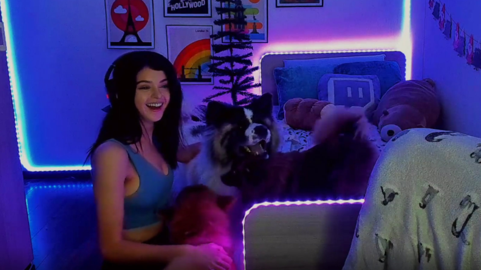 Twitch streamer’s dog goes absolutely crazy after she barks at it Dexerto