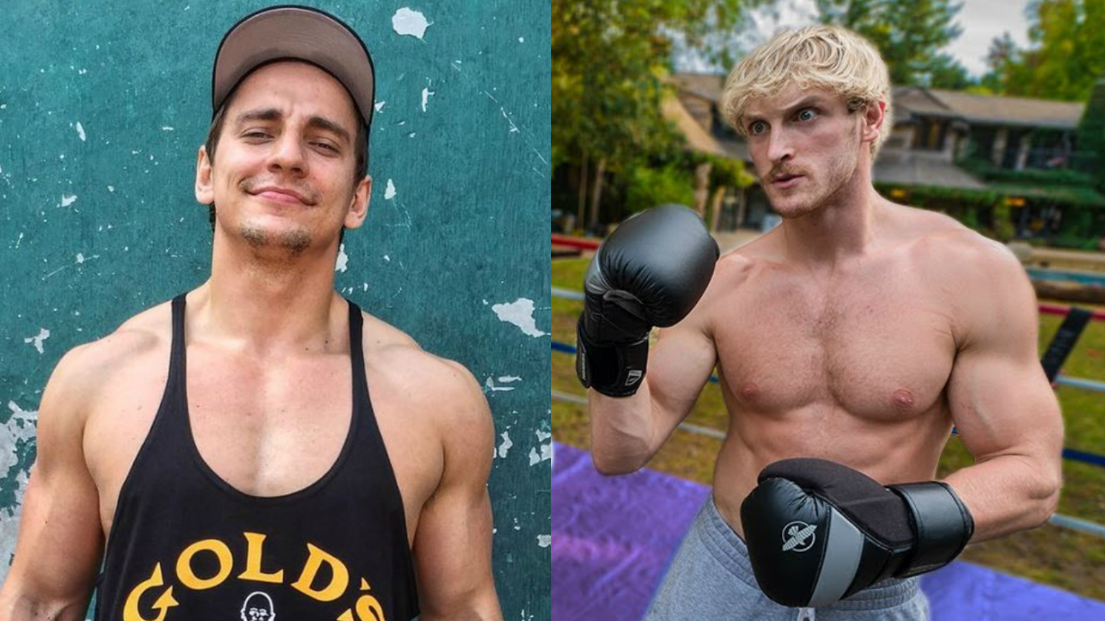 Vitaly reveals why his boxing fight with Logan Paul has been ...
