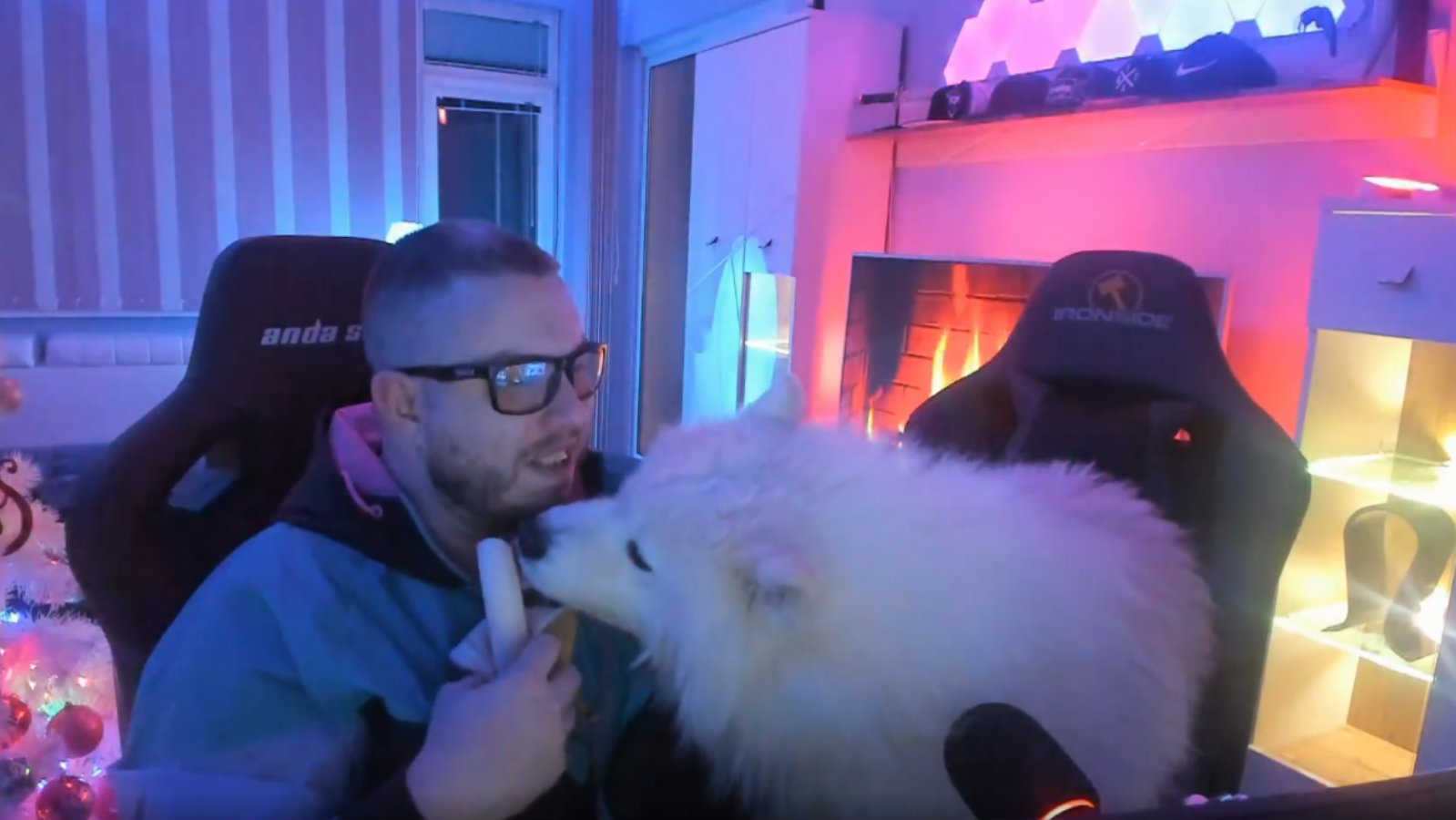 Twitch streamer discovers why he can’t eat bananas around his dog Dexerto