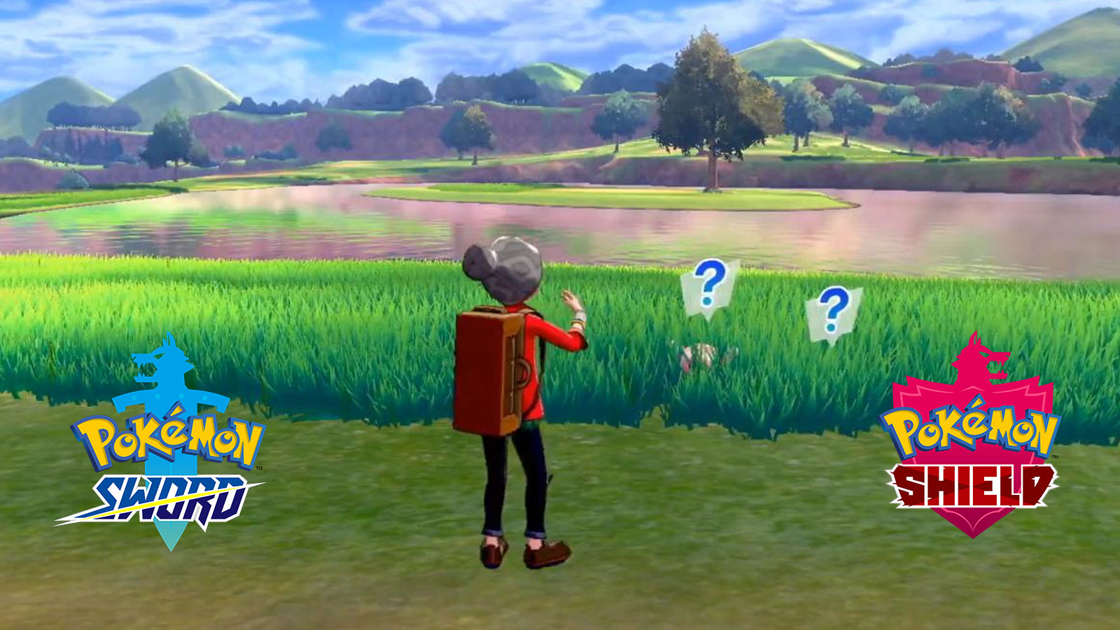 Pokémon Sword and Shield Wild Area explained - what we know about how the  open world Wild Area works