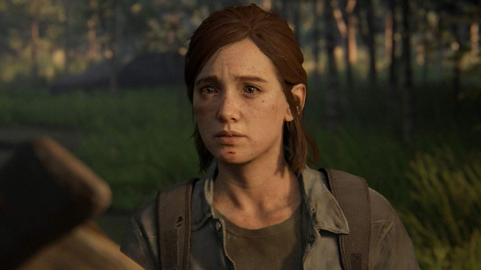 Neil Druckmann of Naughty Dog refused to comment on The Last of Us