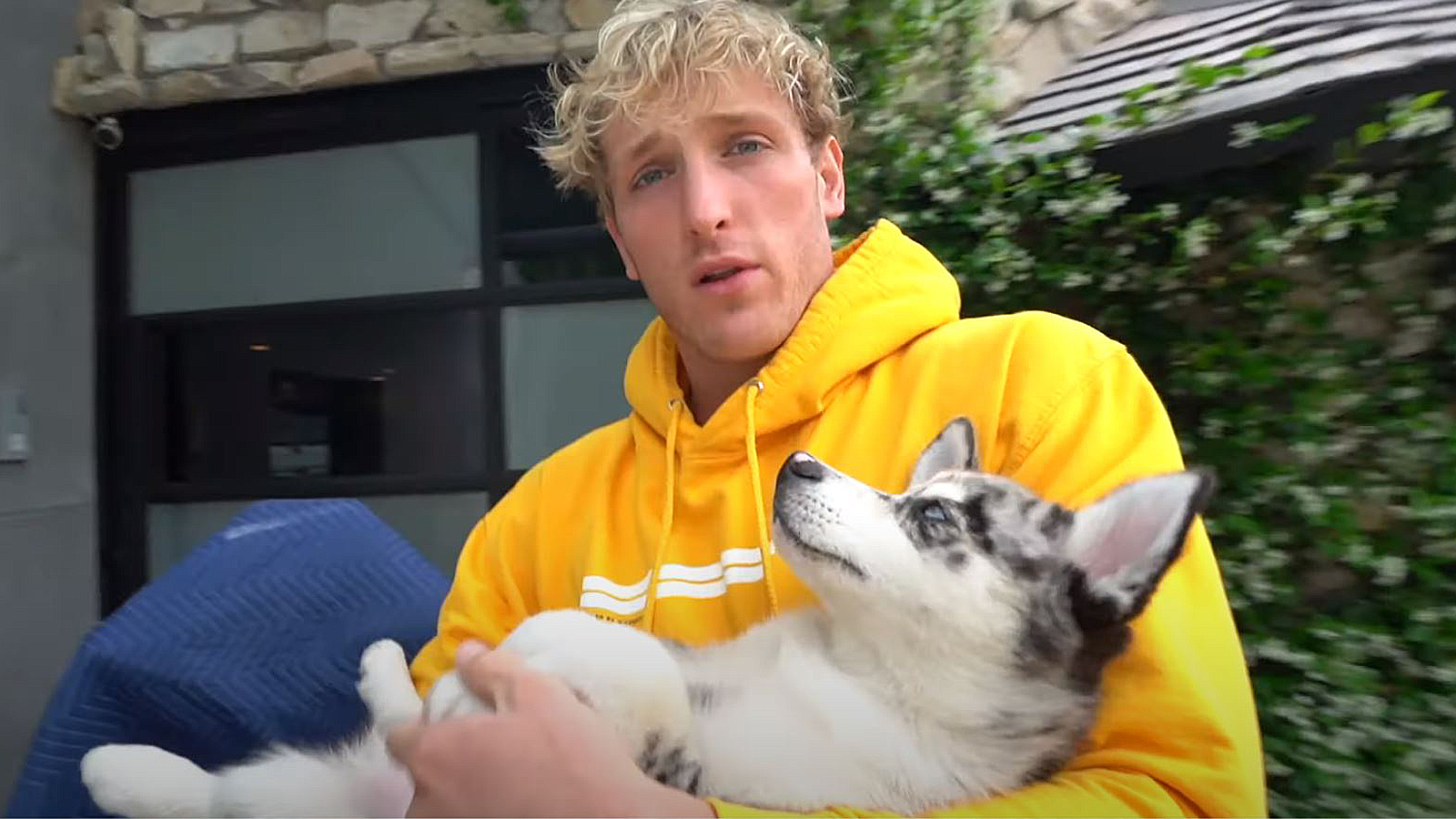 Logan Paul denies accusations that he pushed his dog into a lake - Dexerto