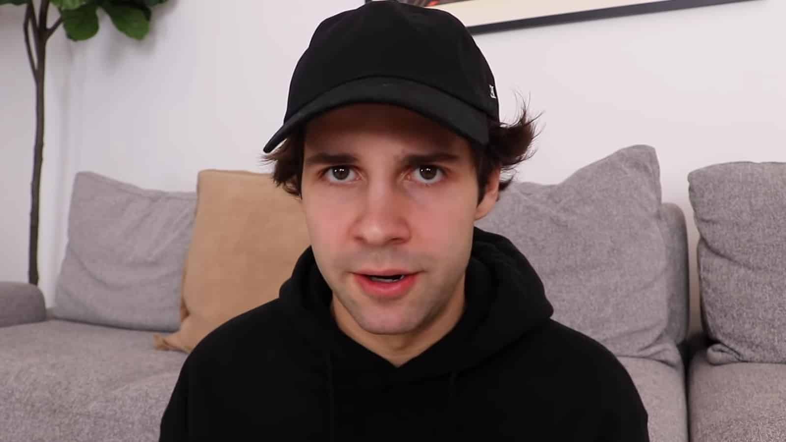 MrBeast on David's Instagram story 👀 : r/DavidDobrik