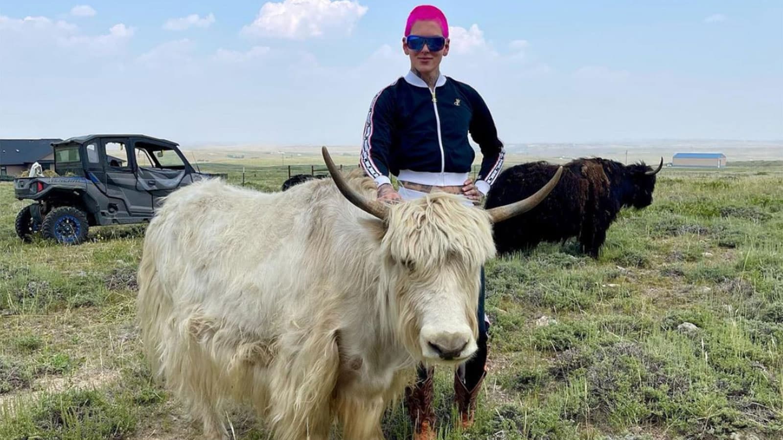 Inside Jeffree Star's 500-acre ranch with 40 yaks after