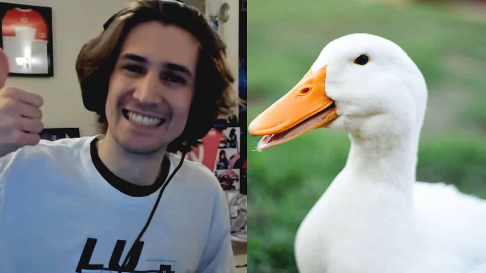 Goose Goose Duck - Twitch