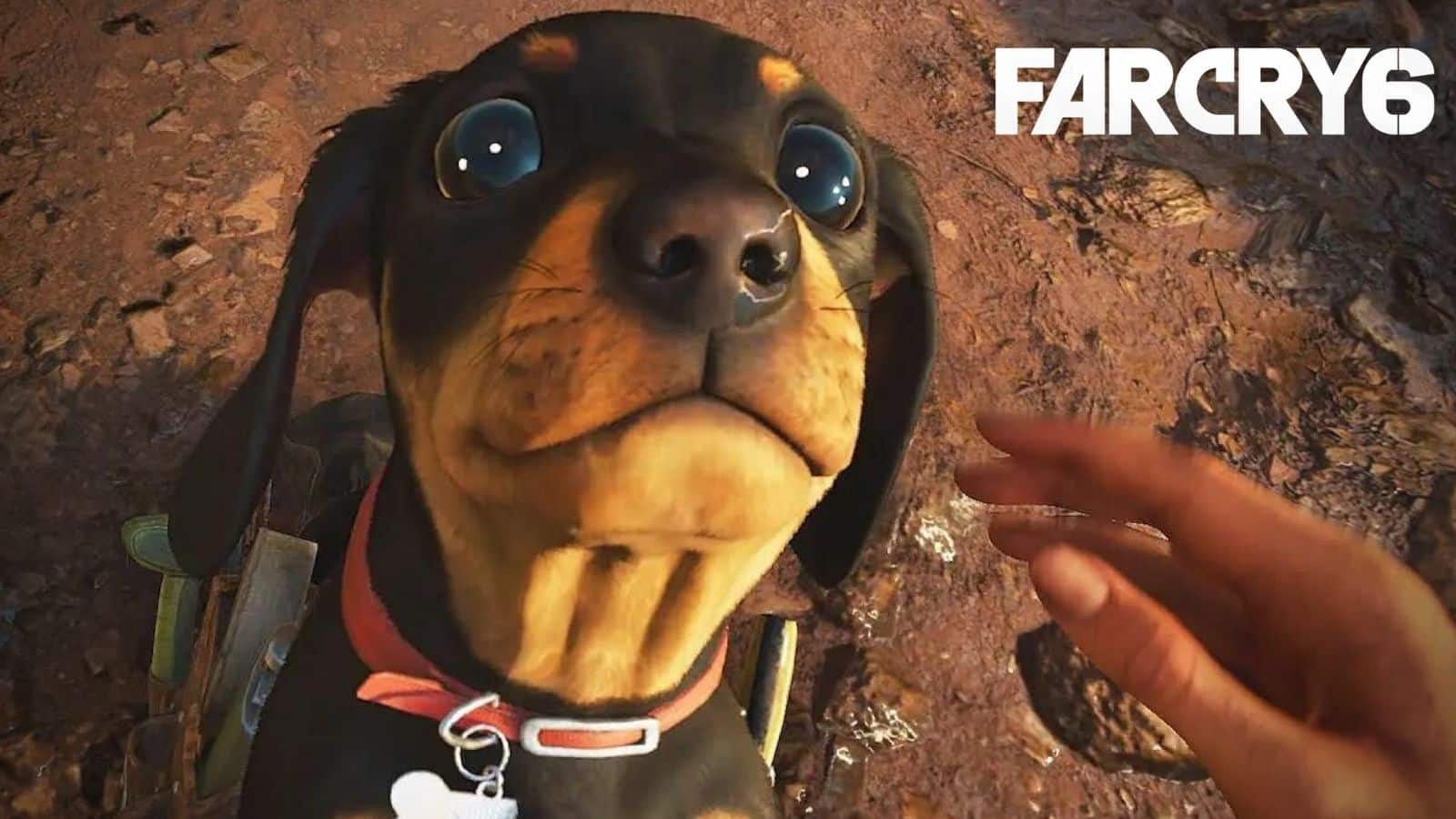 6 dogs. Чоризо far Cry 6. Чоризо far Cry 6 щенок. Far Cry 6 собака. Фар край 6 песик.