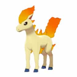 Ponyta