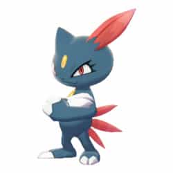 Pokémon Diamante Brillante e Perla Splendente Sneasel