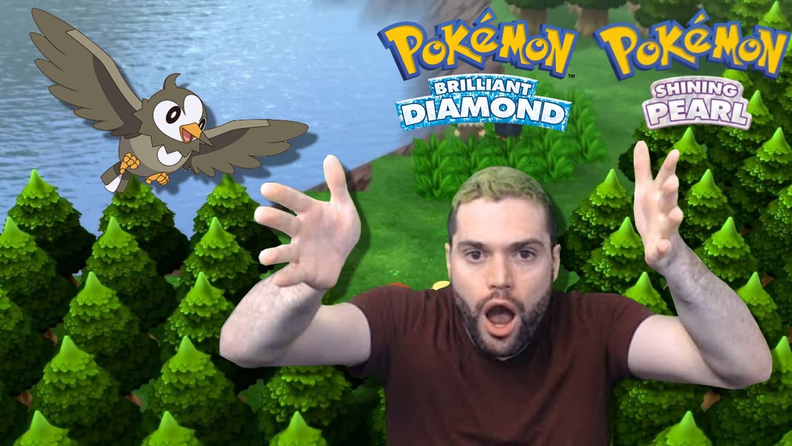 Excitement With A Slight Disappointment, Pokemon Brilliant Diamond