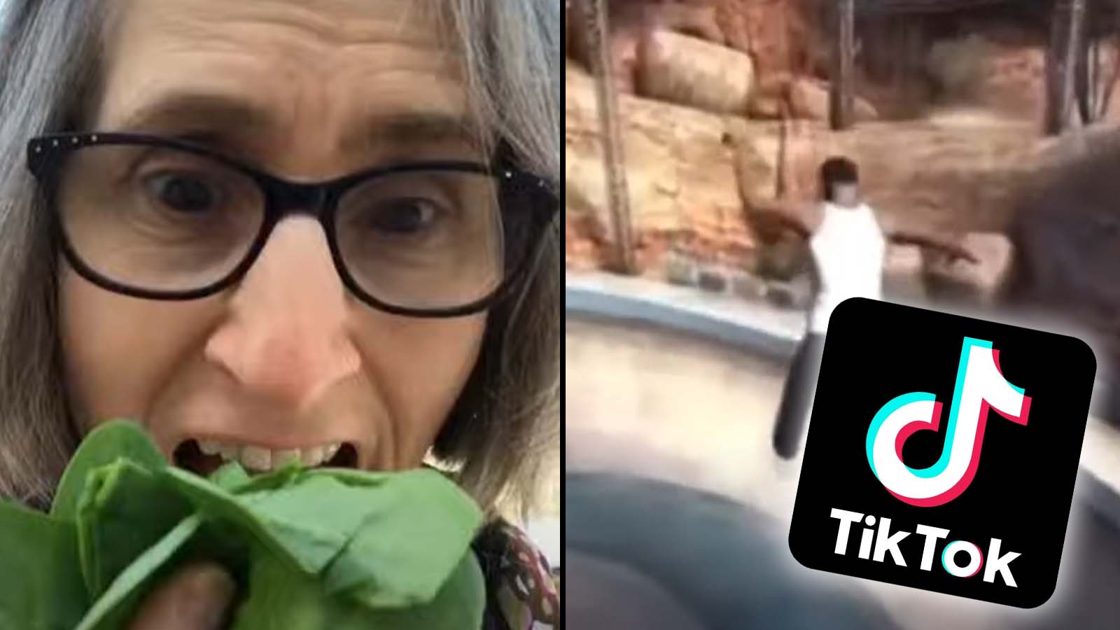 What is the “Eat Your Vegetables” TikTok sound? Vegan Teacher’s viral