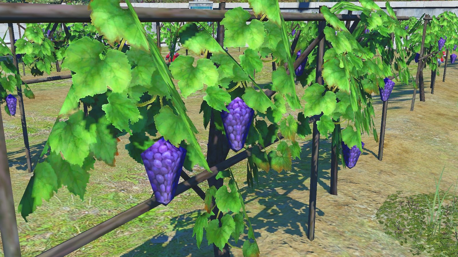 ffxiv online druiven