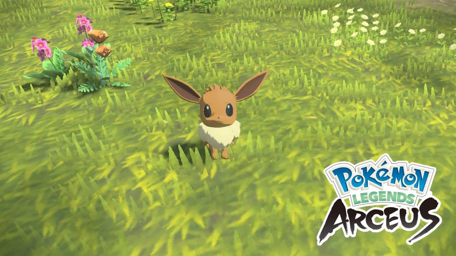 Where to find Eevee in Pokémon Legends Arceus and how to evolve it