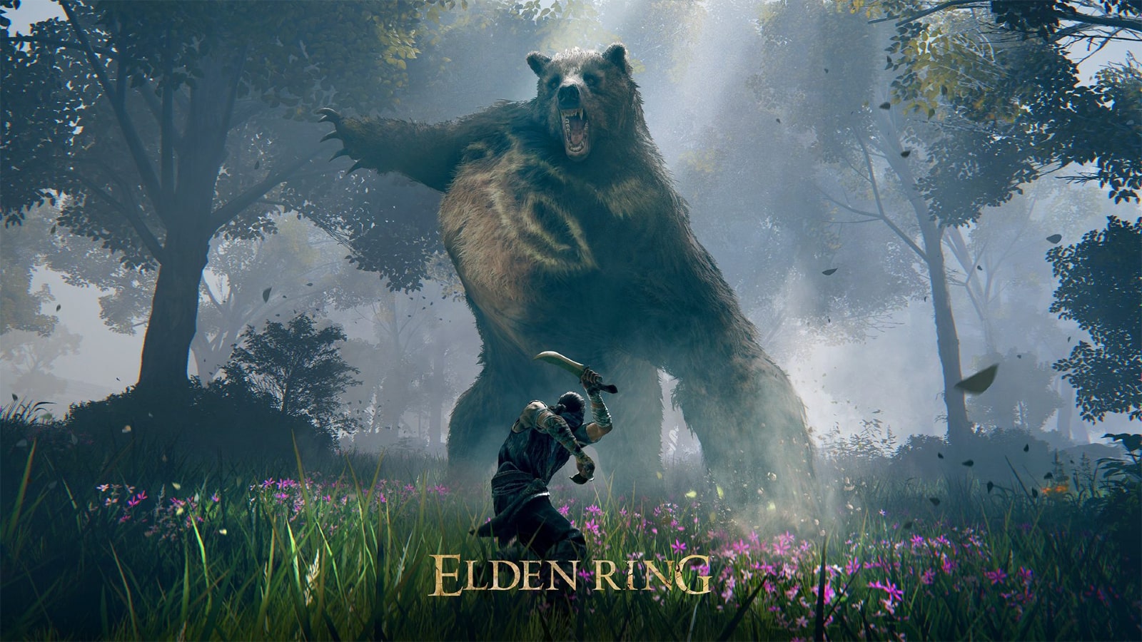 Elden Ring Easy Mode Is One Of The Most Popular PC Mods ATM