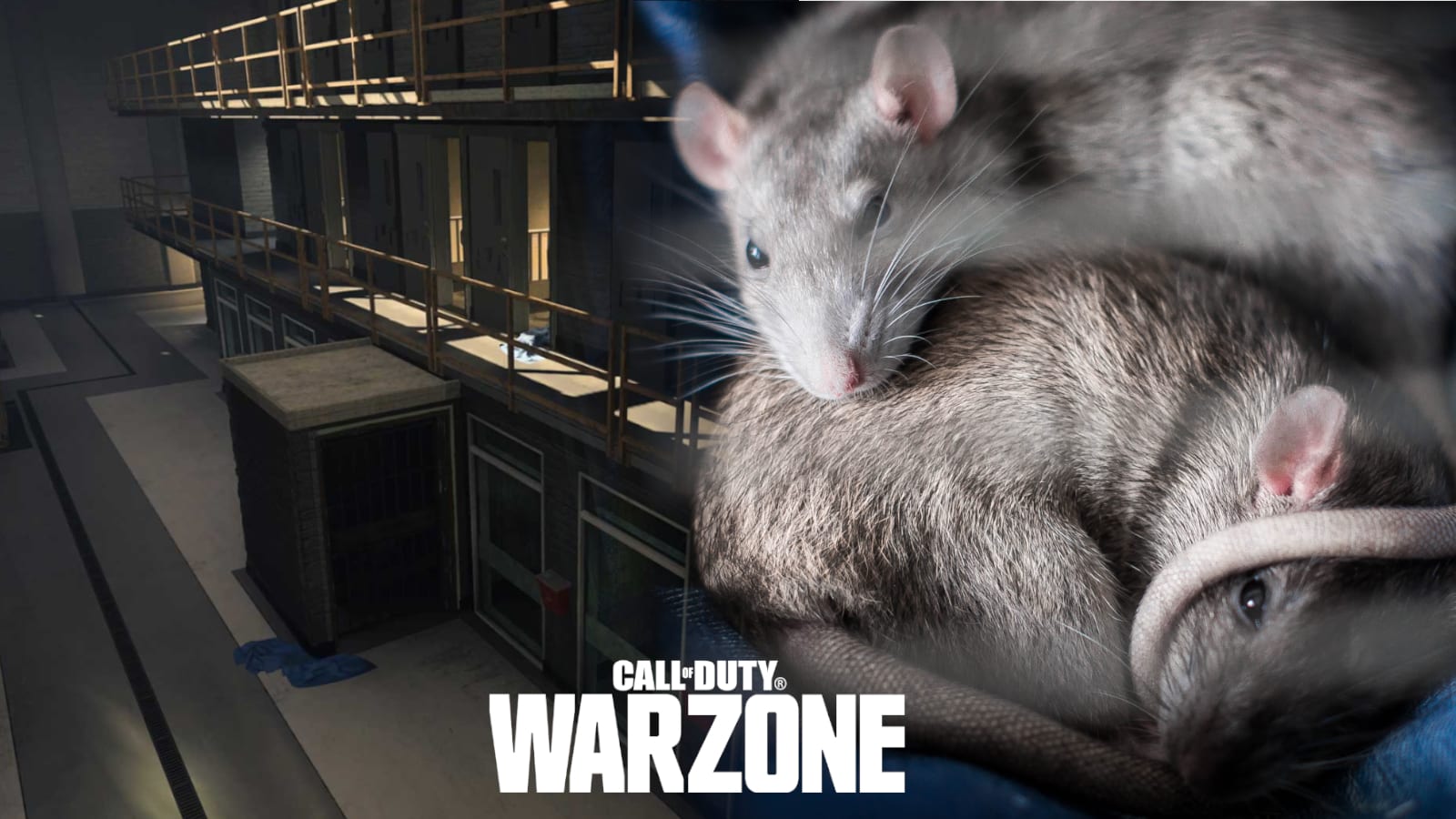 Call of Duty Warzone: Angry Fans React to the Recent Rebirth Island Snub -  EssentiallySports