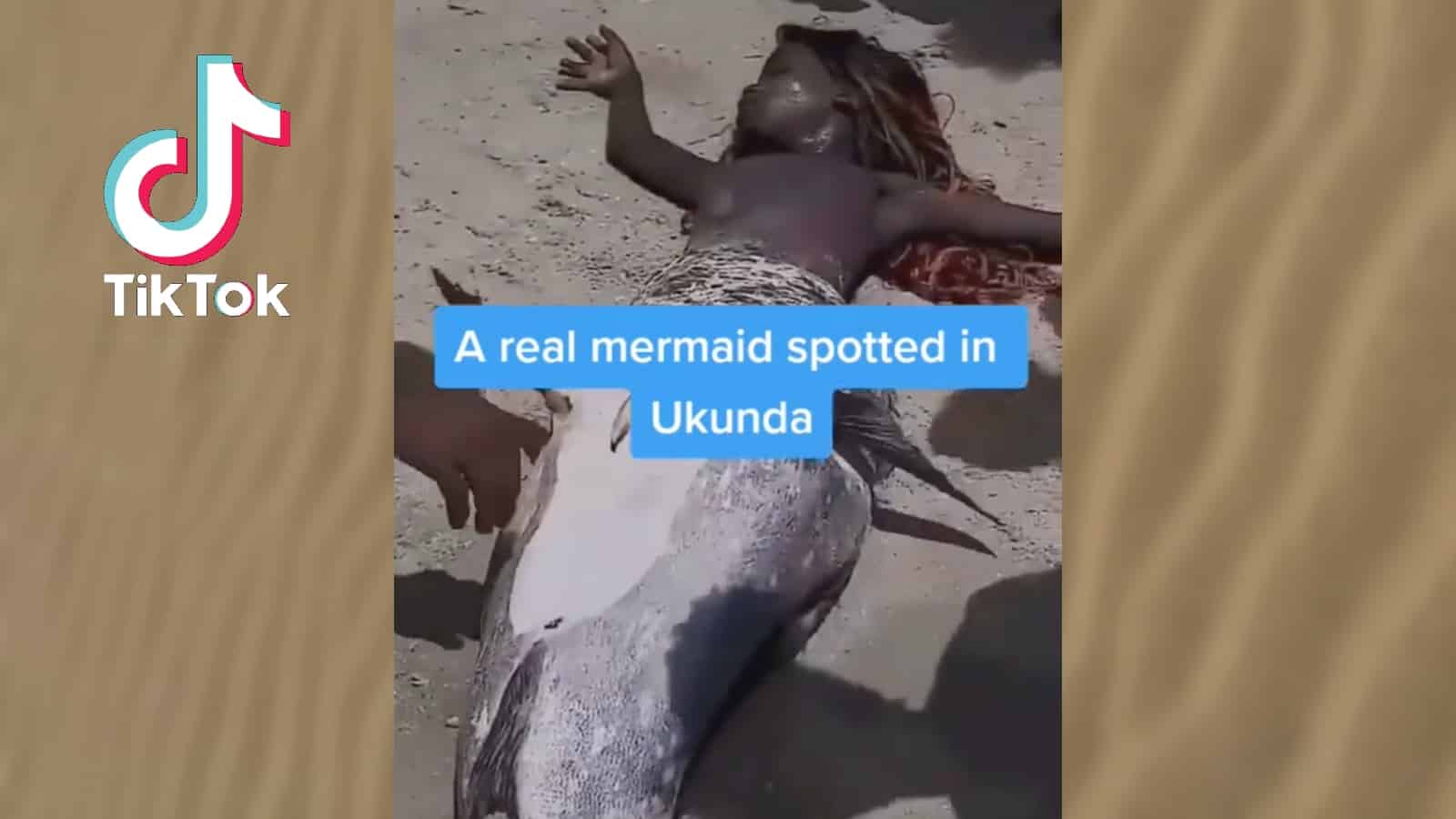 real sighting of mermaid