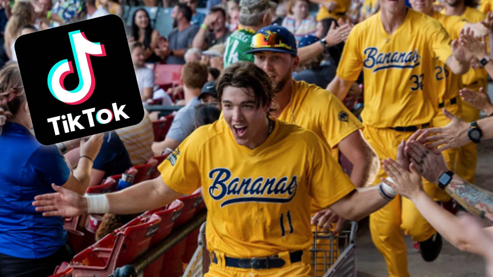 Meet the Savannah Bananas, who wow fans and have MLB's attention