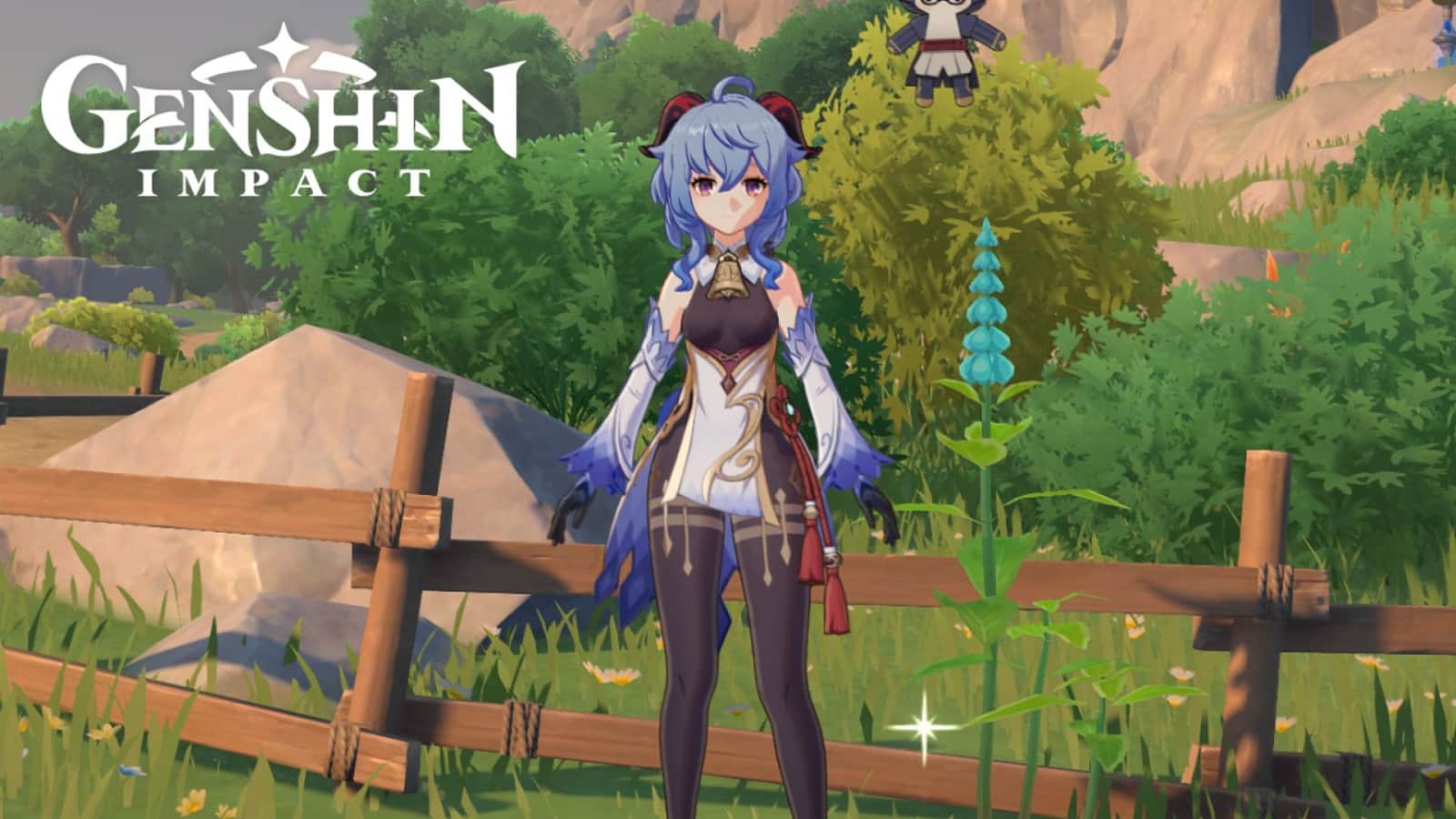 Where to find Mint in Genshin Impact All Mint locations, crafting