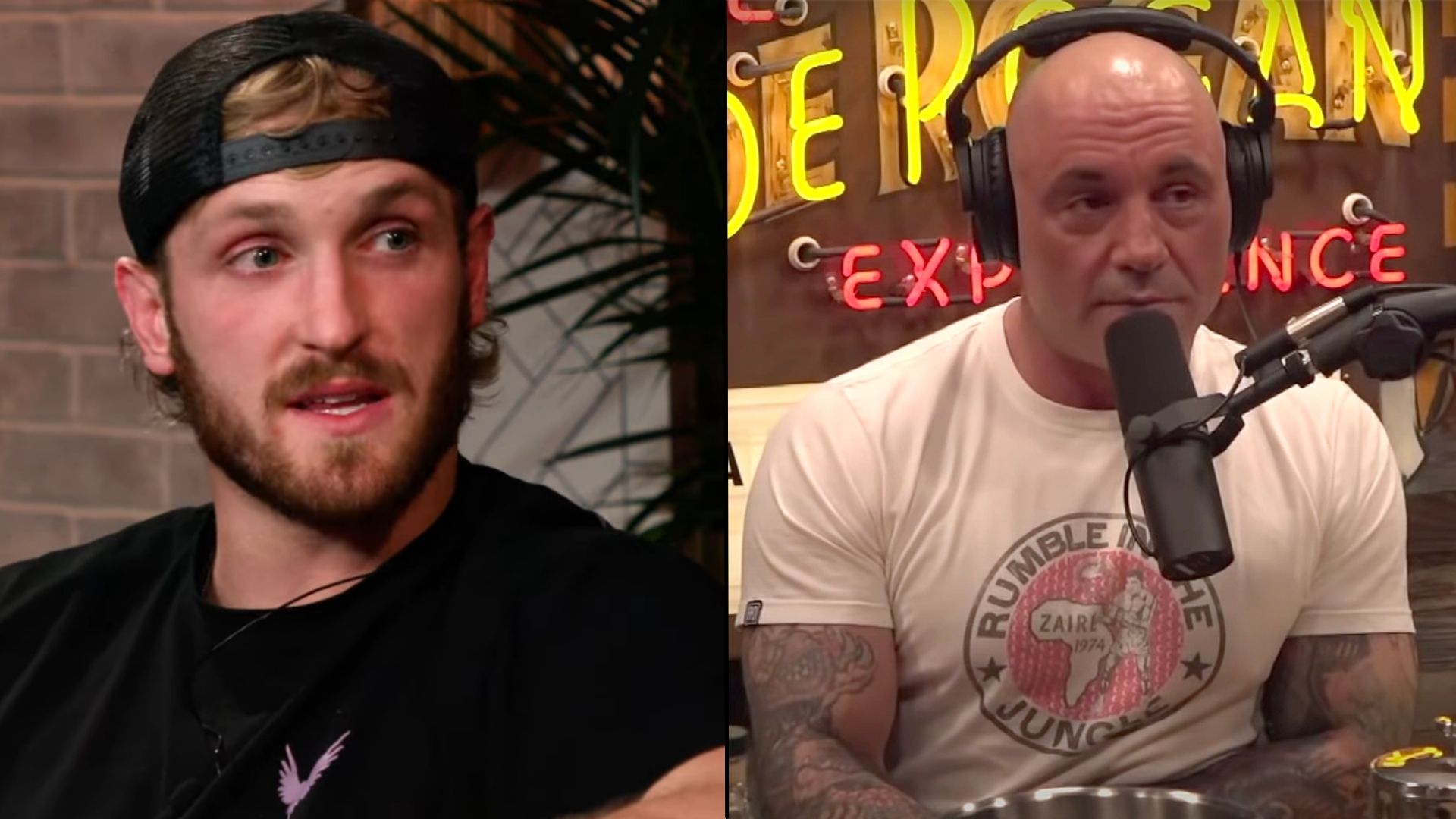 Logan Paul explains why he hasn’t been on Joe Rogan’s podcast yet Dexerto