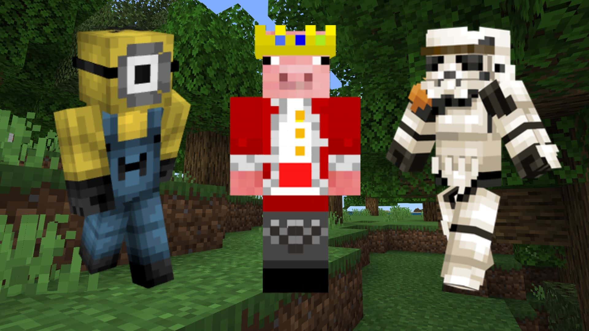 for intro  Minecraft Skins