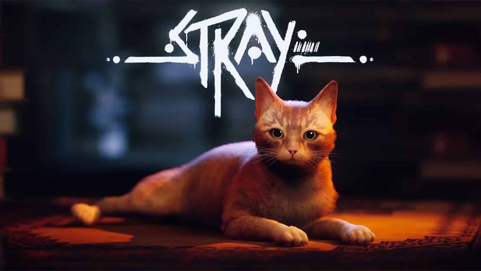 Stray - State of Play June 2022 Trailer