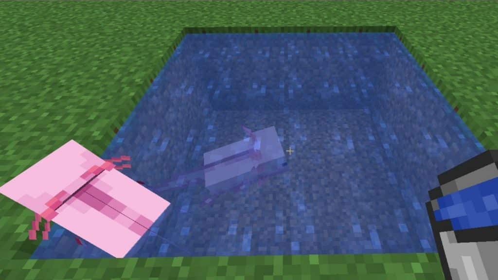 Minecraft में दो axolotls टैमिंग