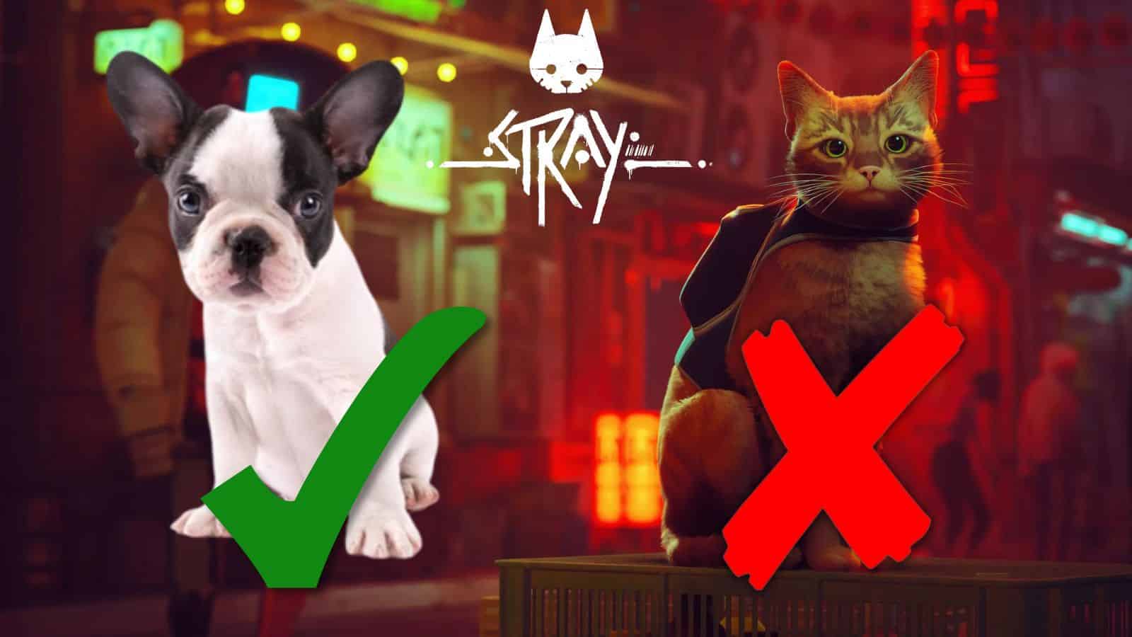 Stray' players are adding their cats to the game with mods - The Washington  Post