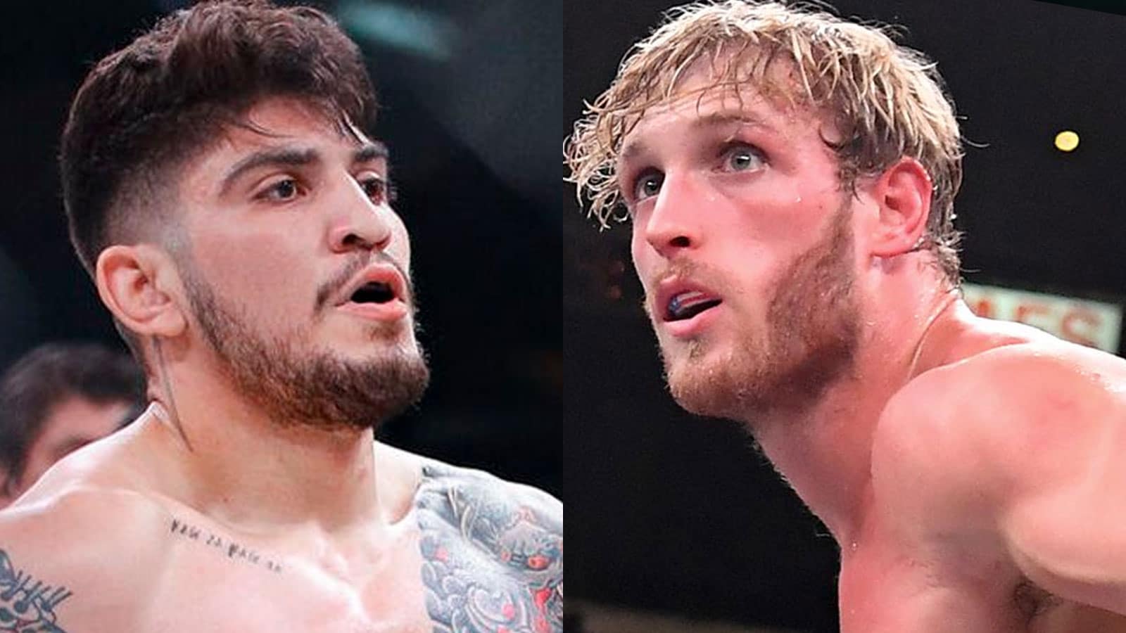 Logan Paul aims to fight MMA pro Dillon Danis on Prime Card in January