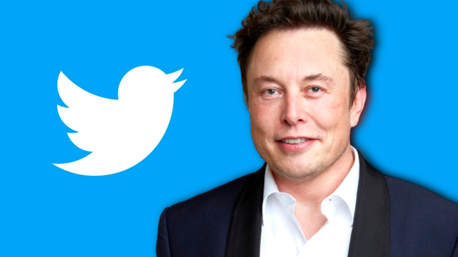 Elon Musk explains why Twitter users get rate limit exceeded error