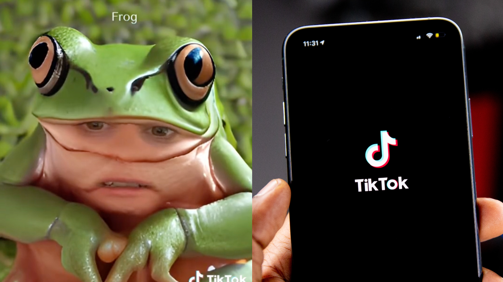 How to use TikTok’s AI face filter