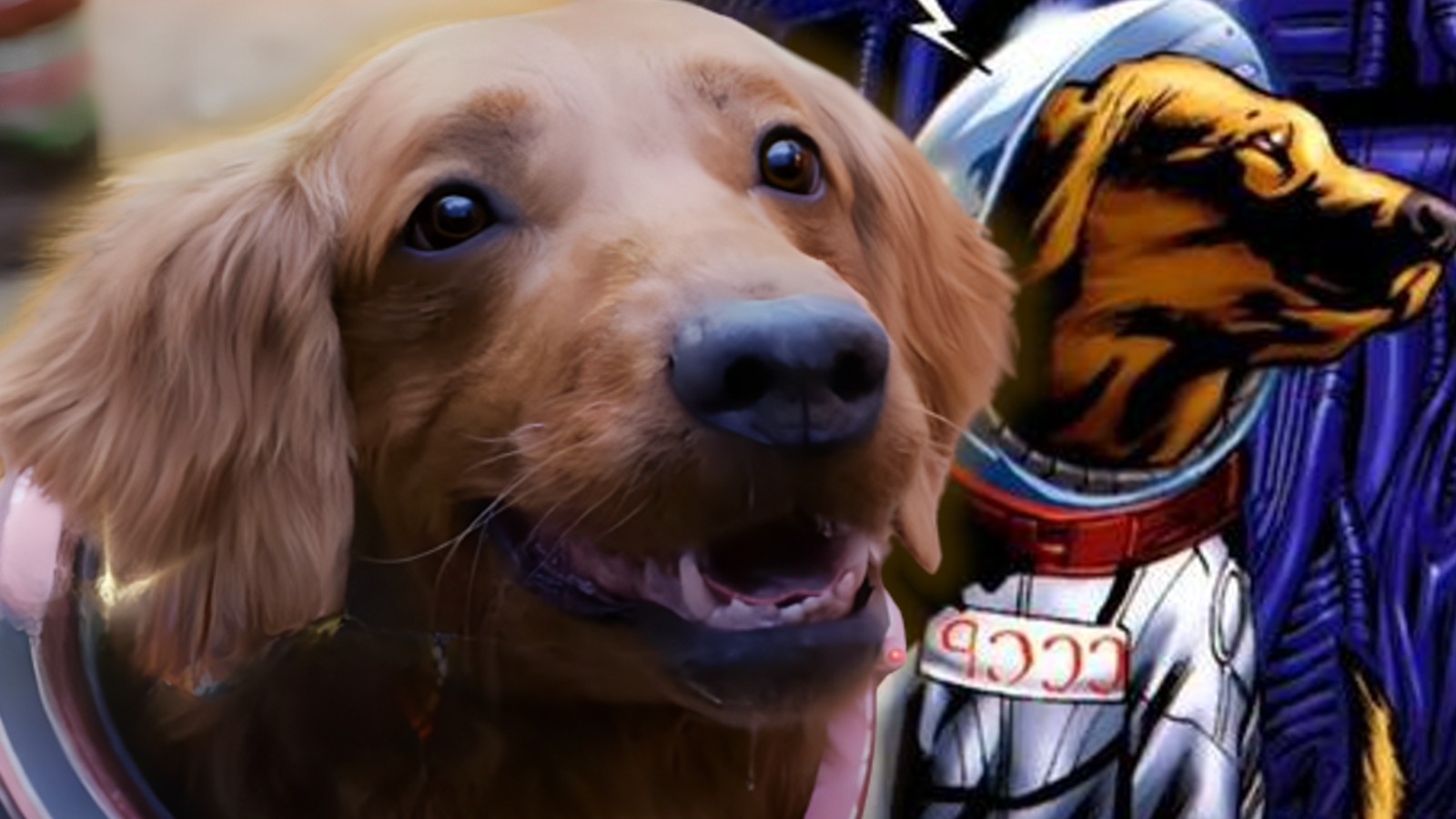 Guardians of the Galaxy Holiday Special: Cosmo the Spacedog explained ...