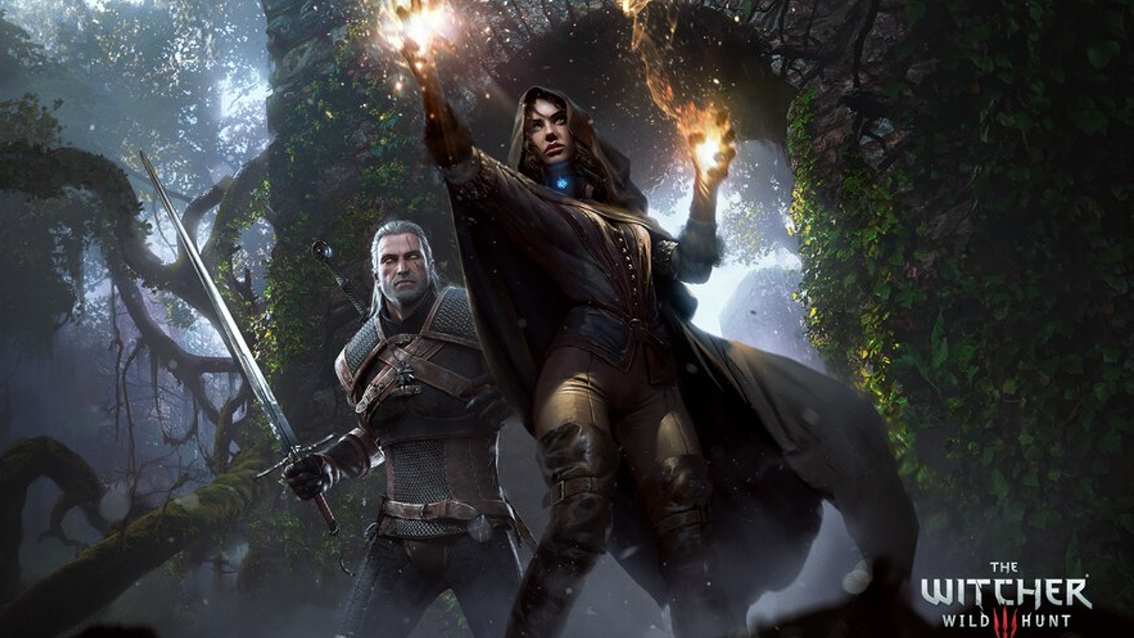 The Witcher Enhanced - PC : Movies & TV