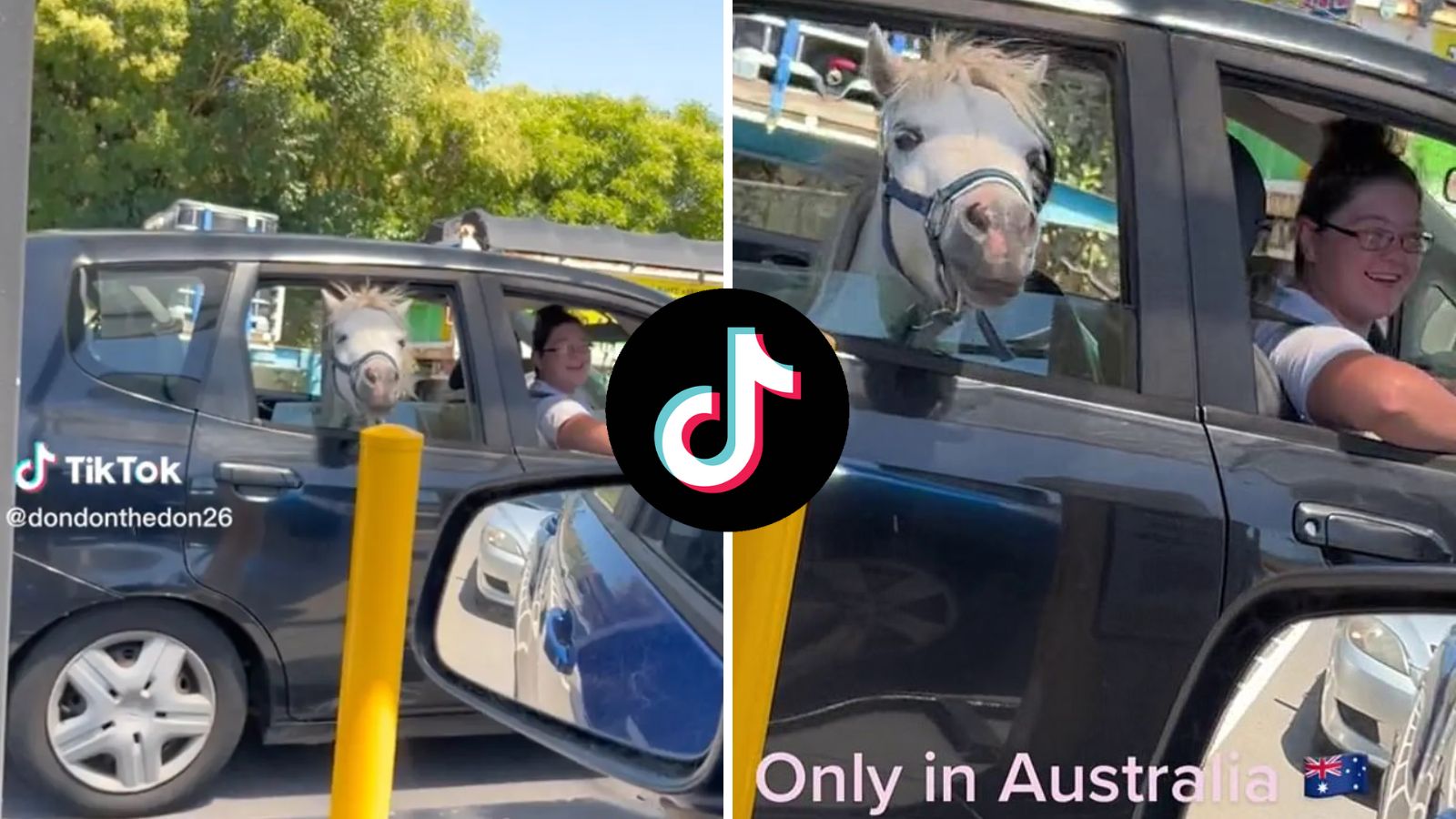 McDonald's customer pulls up to drive-thru with horse in car