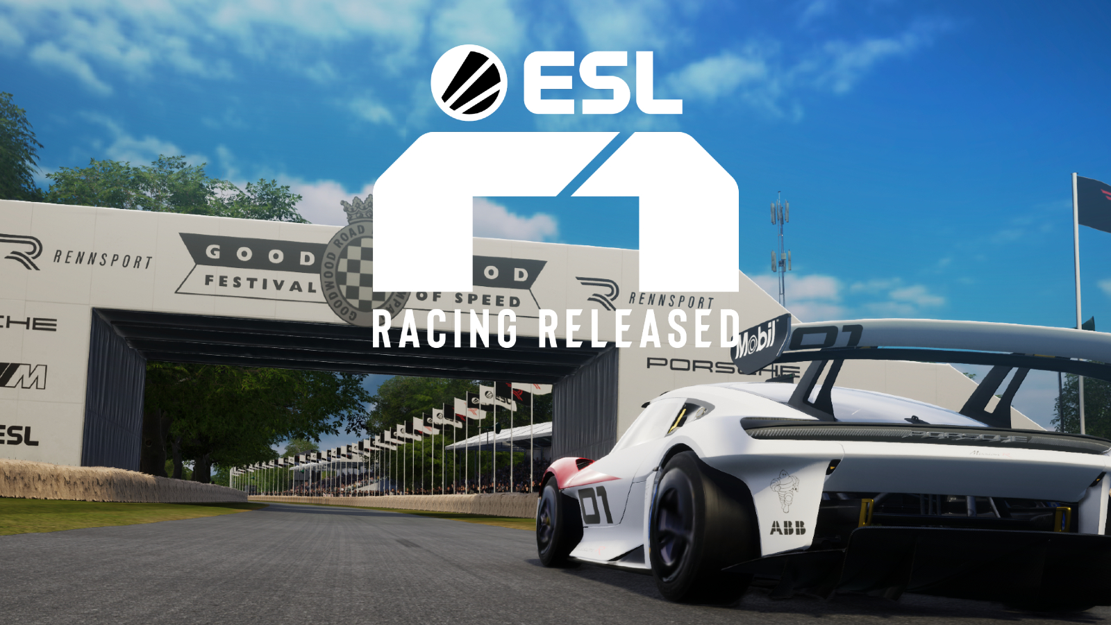ESL companions with RENNSPORT for 0,000 R1 Esport Sequence circuit – Egaxo