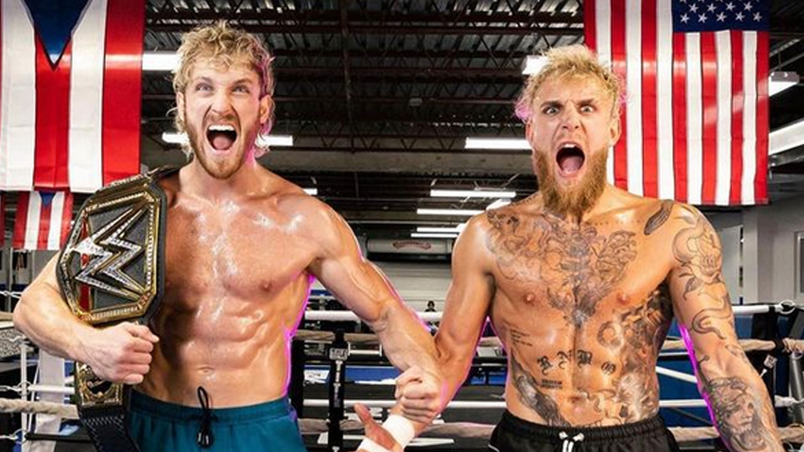 Jake & Logan Paul respond to possibility of fighting each other in