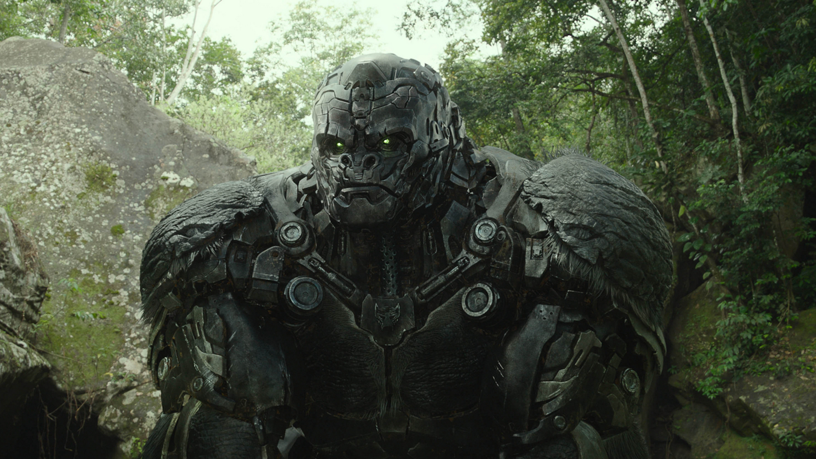 REPORT: Marvel Eyeing Transformers: Rise of the Beasts Star for Werewolf by  Night