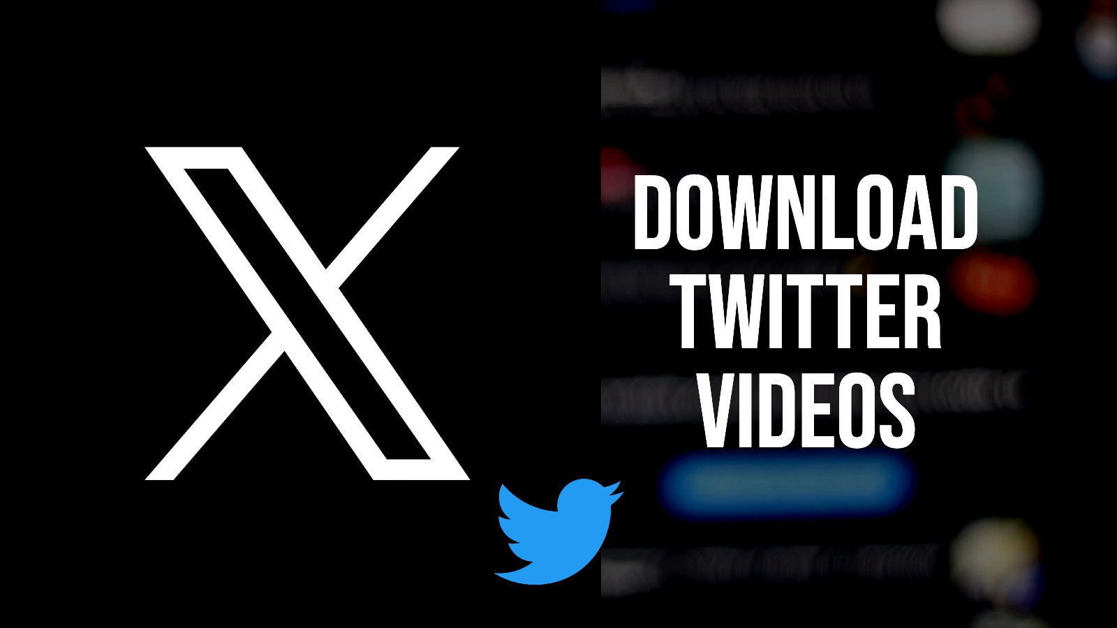 1600px x 900px - How to download Twitter / X videos straight from the app - Dexerto