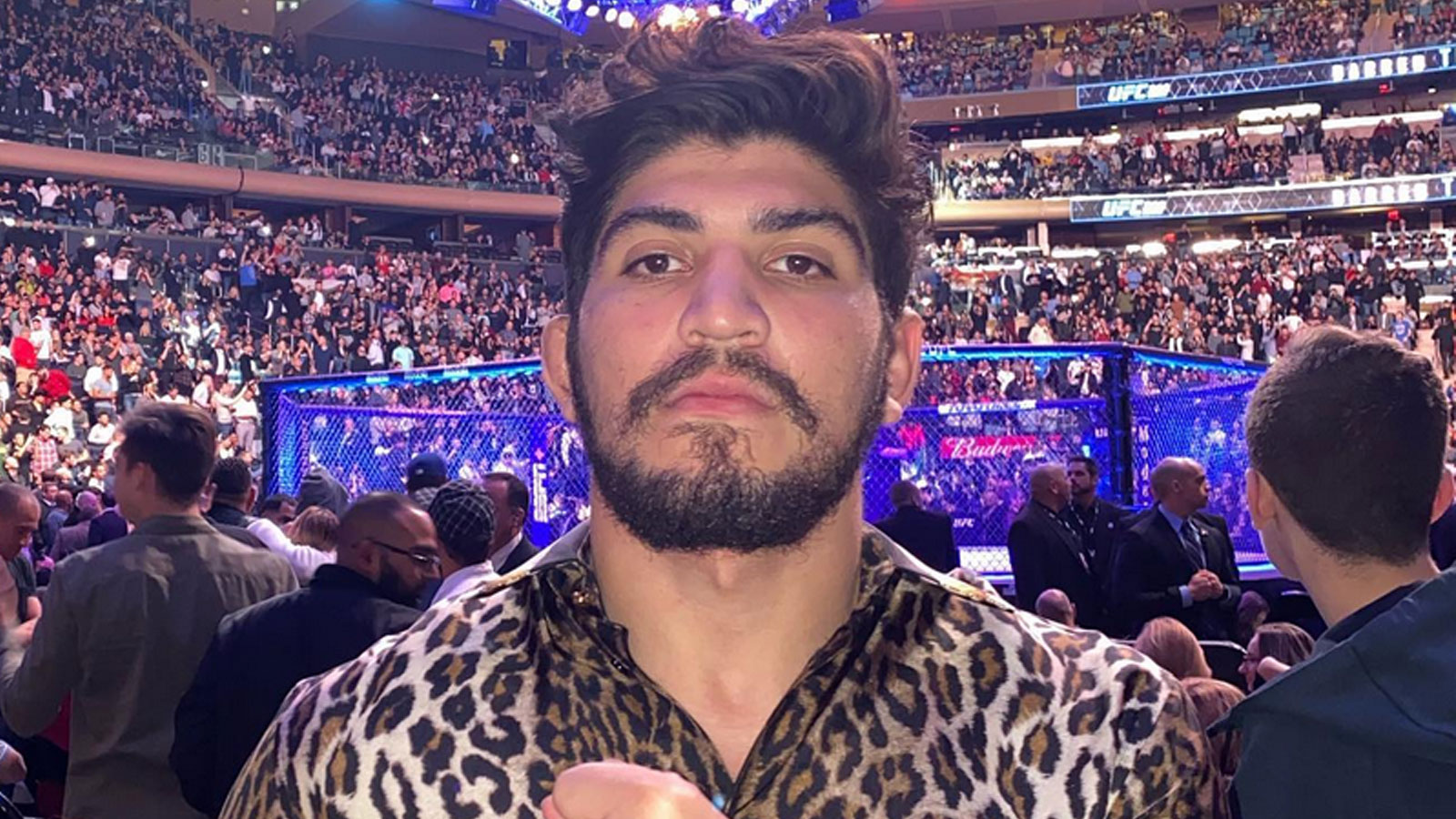 Dillon Danis says he’ll KO Jake Paul and claims Logan is considering “pulling out” Dexerto