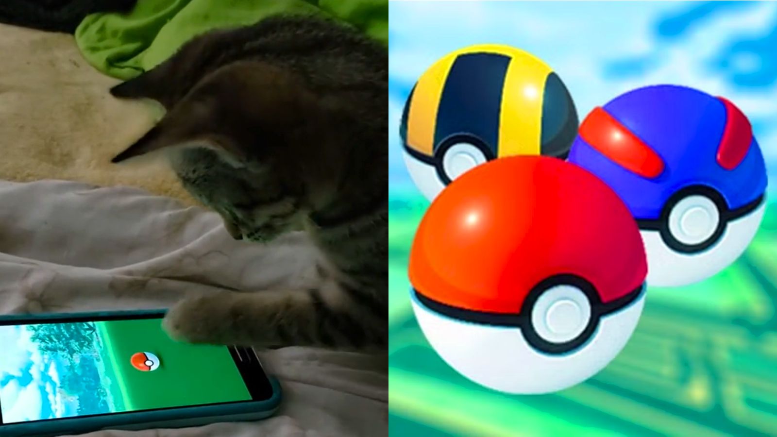 The best Pokemon Go auto catchers - Dexerto