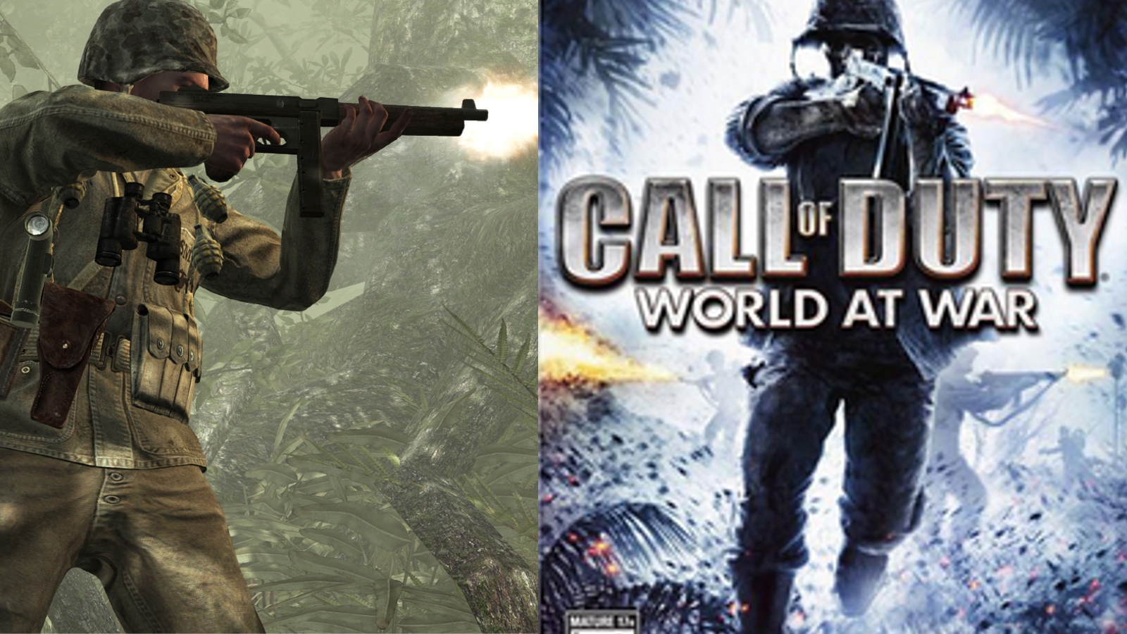 Call of Duty-Fans sehnsüchtig nach einem Remaster des jahrzehntealten Favoriten