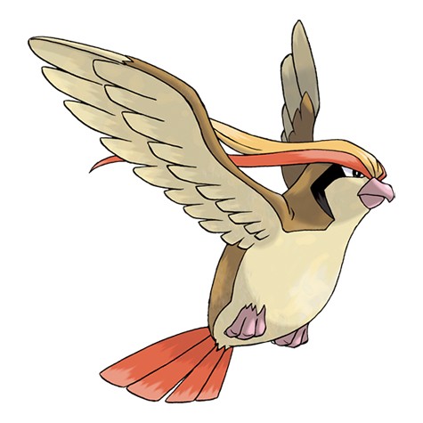 Pidgeot Pokémon