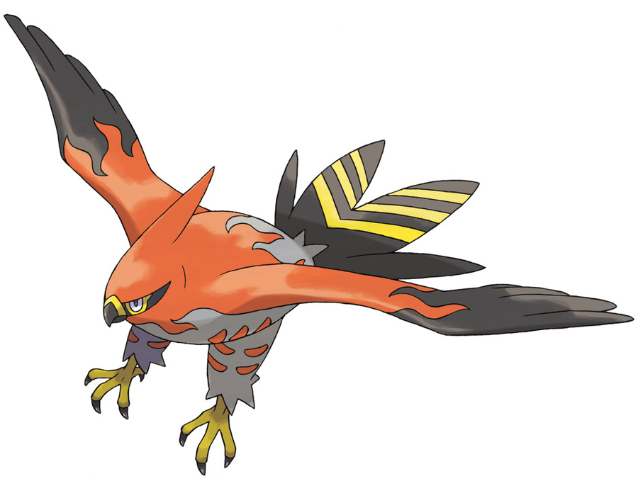 Talonflame Pokémon