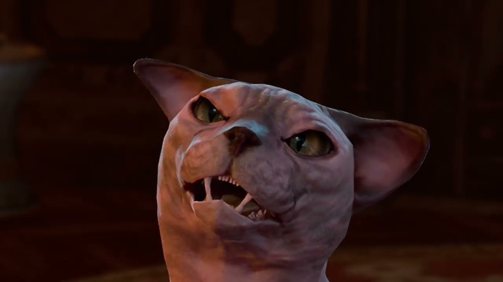 Baldur’s Gate 3’s Honor Mode launch goes hilariously wrong after the player tries to feed the cat