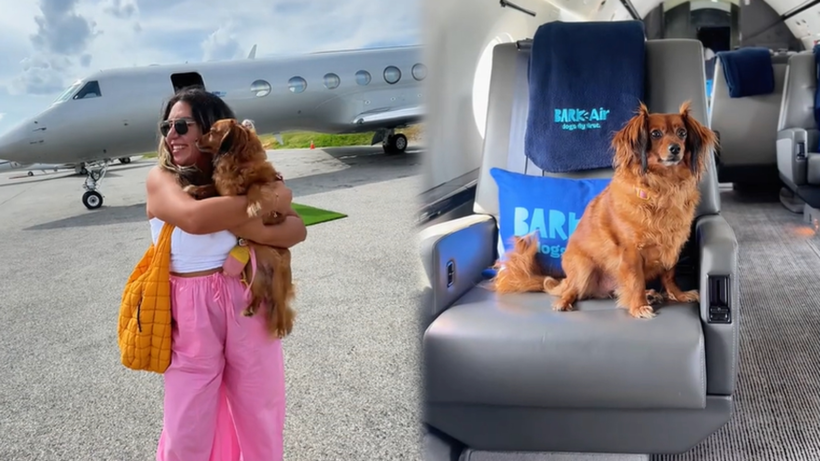 A dog-friendly airline is going viral as influencer travels with her pet