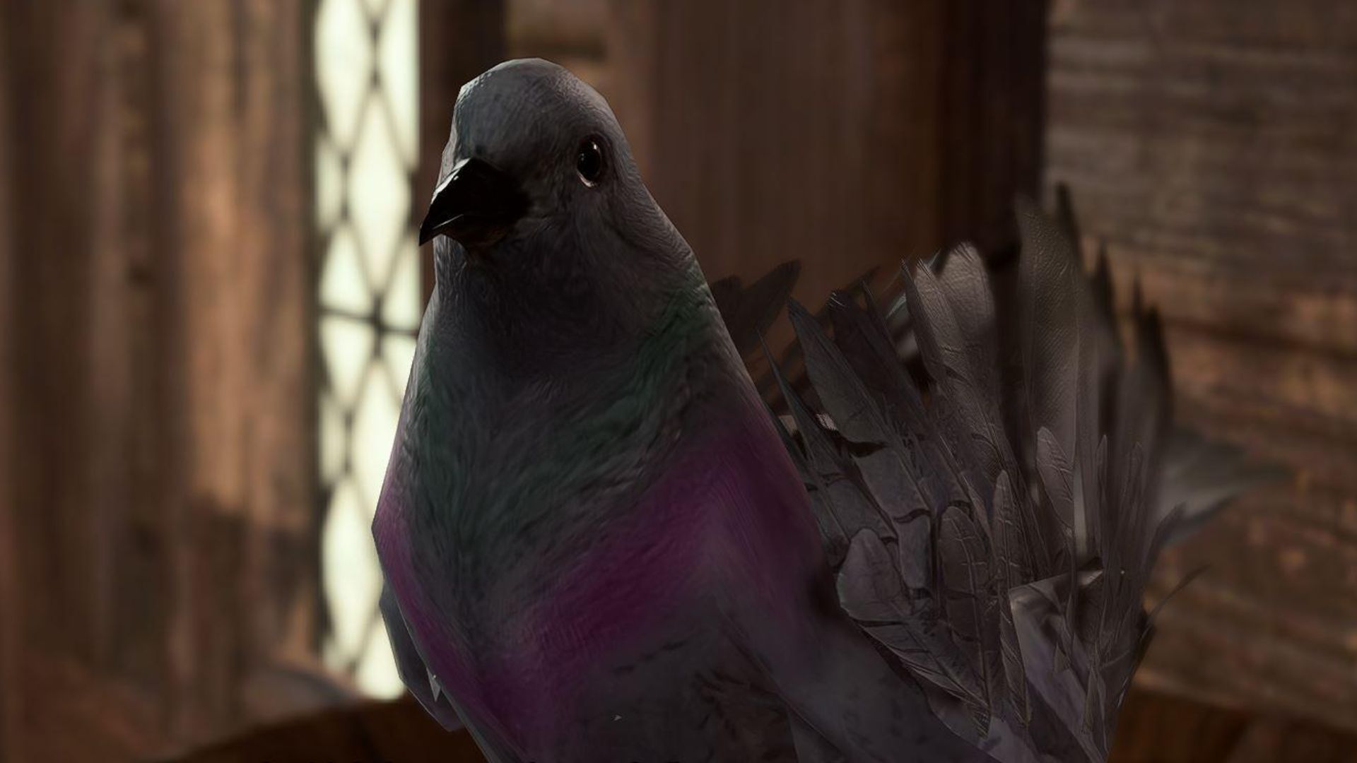 Level 9 pigeon proves Baldur’s Gate 3 thinks of everything