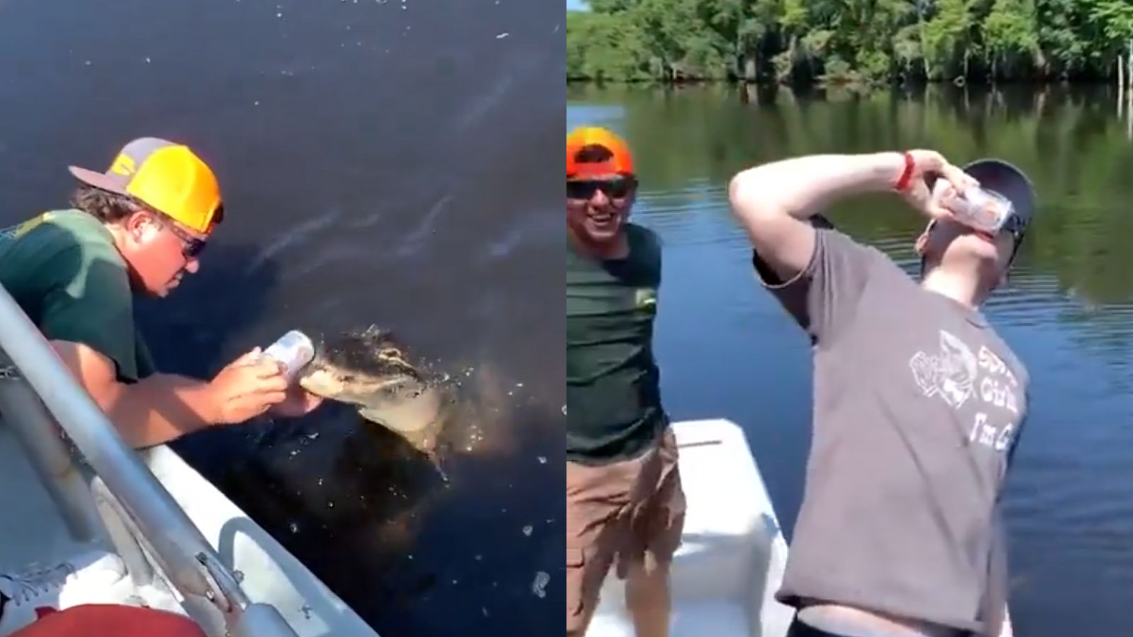 Florida man goes viral using an alligator to open a beer can