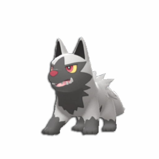 Poochyena Pokémon BDSP modèle 3D