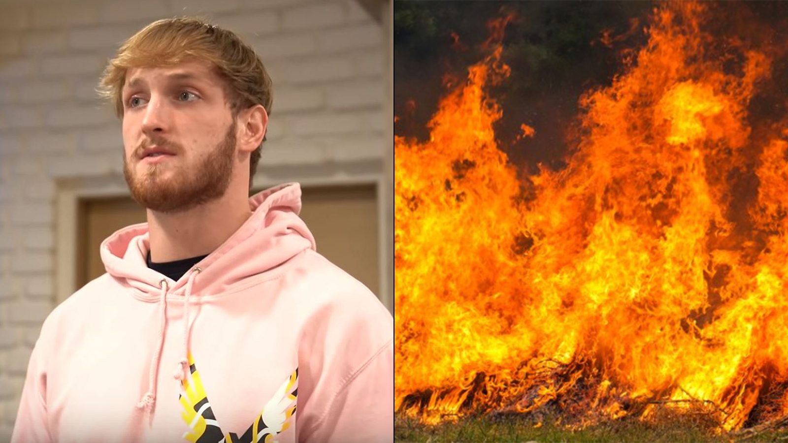 r Logan Paul holds Challenger Games to raise money for charity