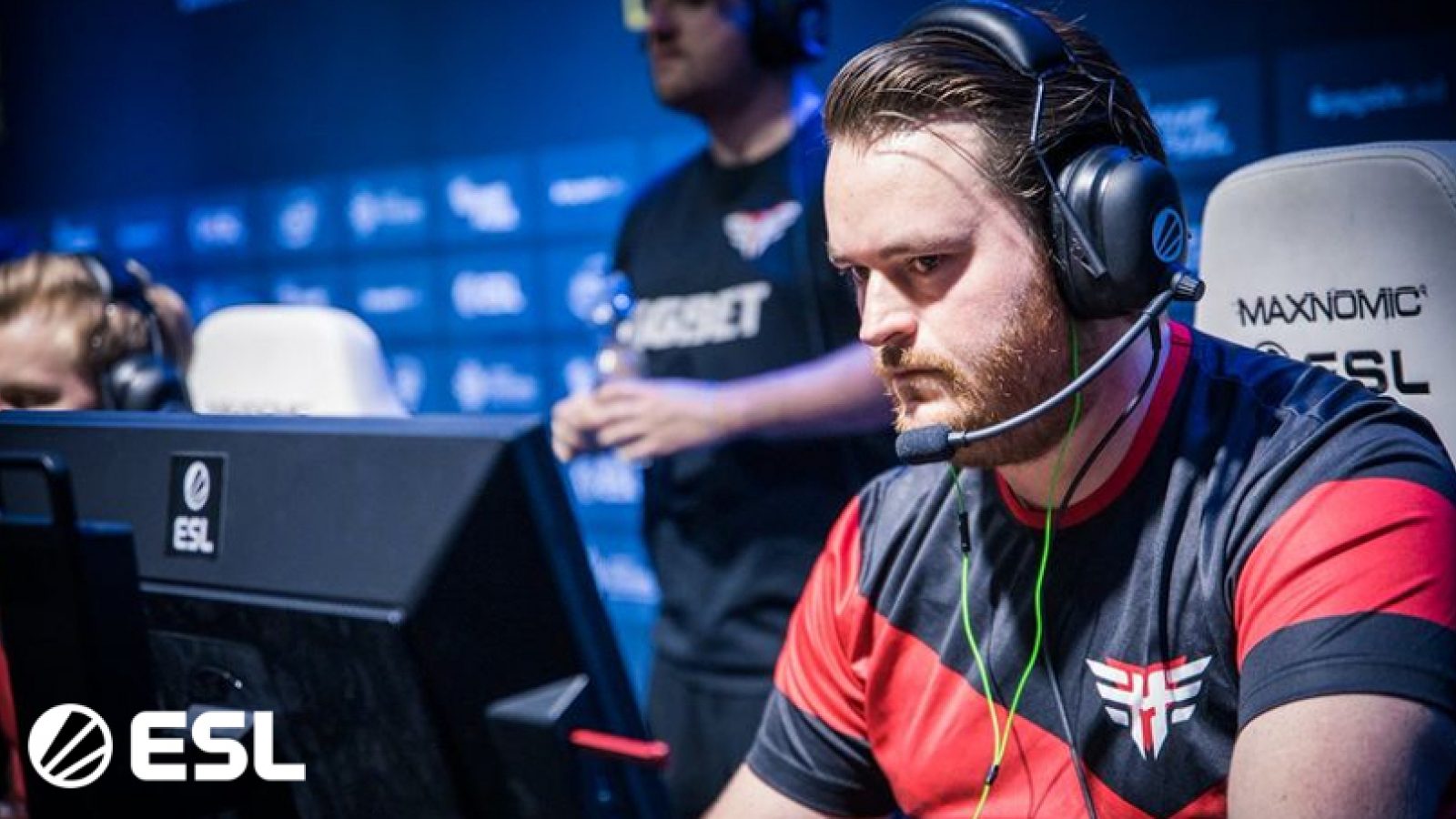 Friberg steam profile фото 10